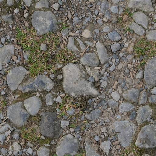 A dirt pash littered with rocks and pebbles