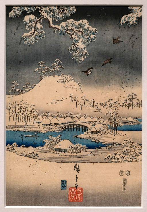 Snow View