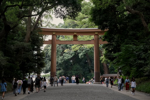 Large wooden Torii gate in a lush green forest