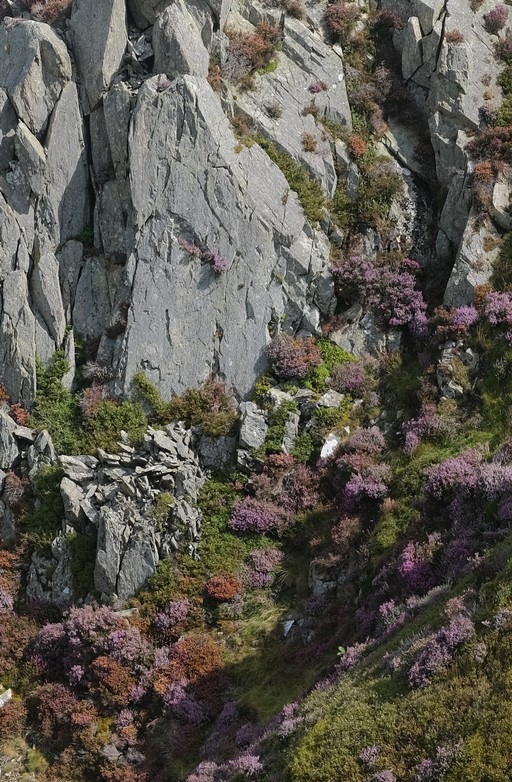 Mountain - Snowdonia, Wales